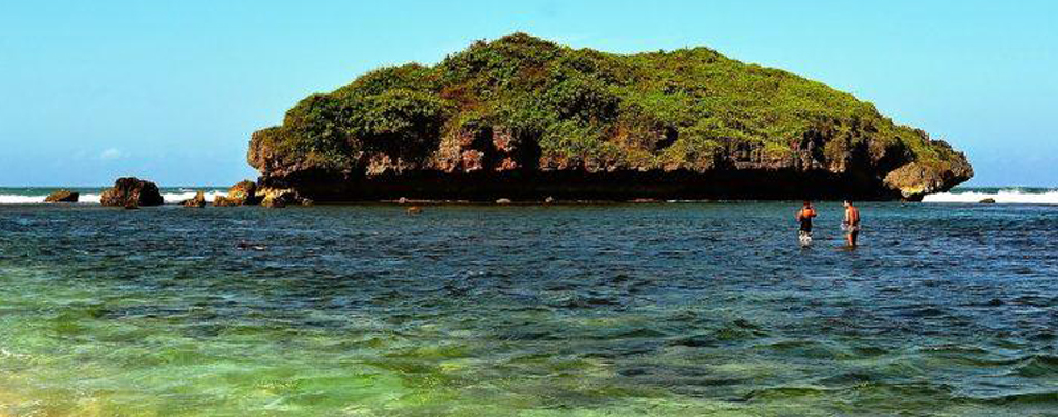 Pantai Sadranan Snorkeling Seru di Pinggir Pantai